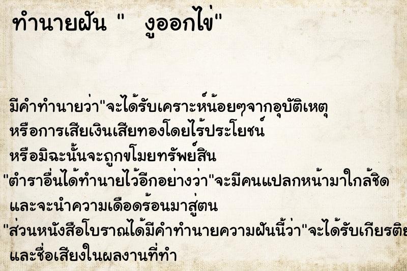 ทำนายฝัน   งูออกไข่